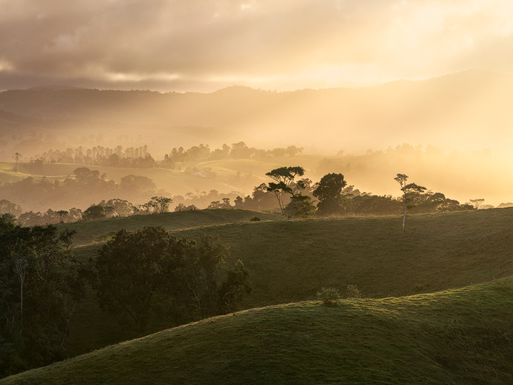 Rolling hills near Millaa Millaa during sunset