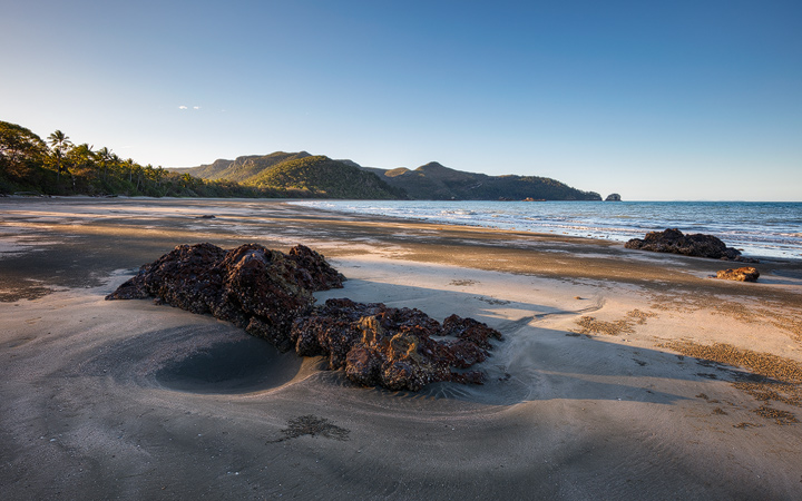 warm evening light on the palm lined beach of Cape Hillsborough