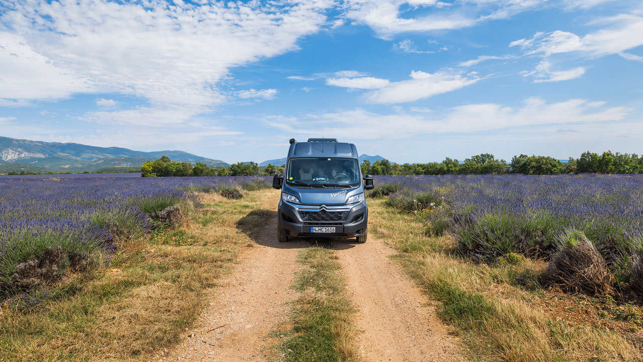 Hannes Camper in Valensole Lavender Fields