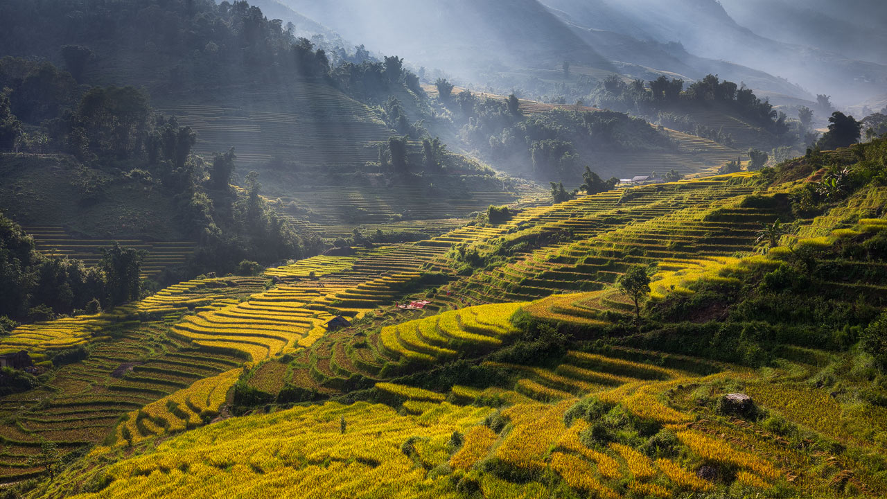 Sapa Landscape Photography during Harvest