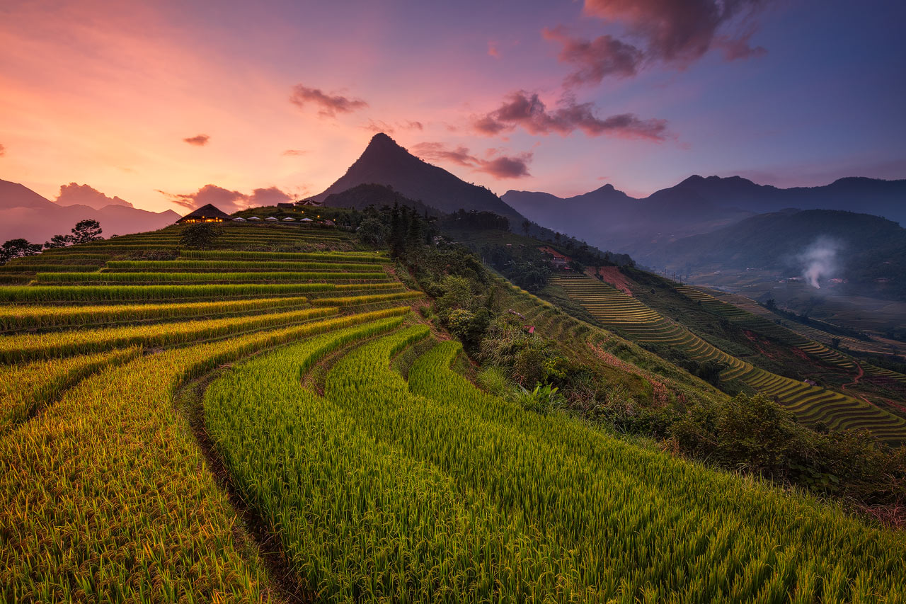 Topas Ecolodge with rice paddies during sunset