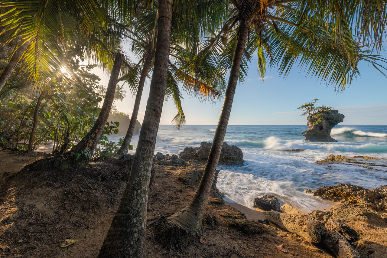 Manzanilla Caribbean Dream