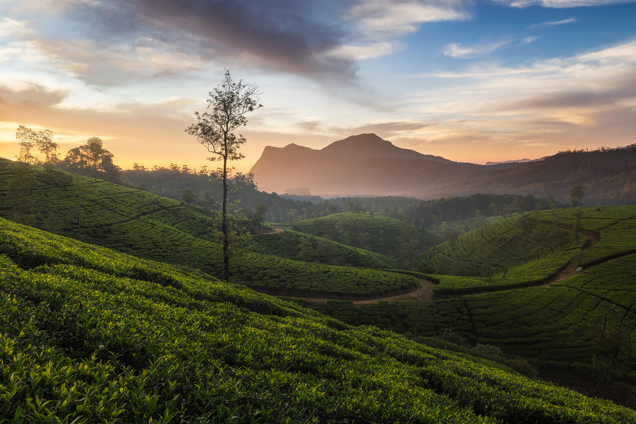 Nuwara-Eliya