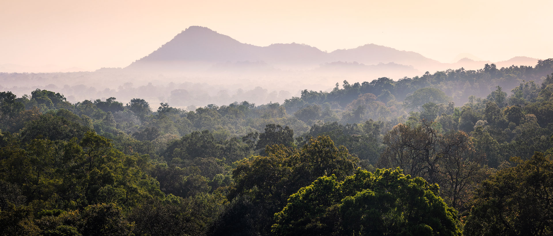 Yala-Landscape