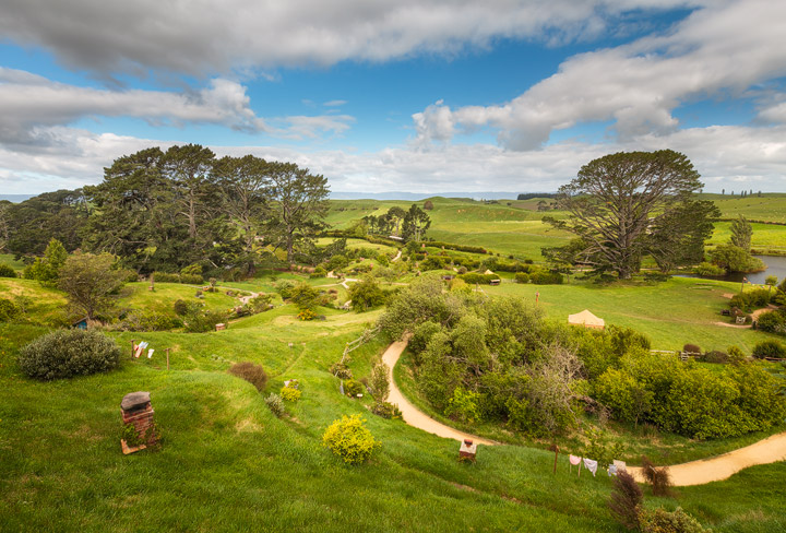 The hills and trees of Hobbiton in soft afternoon light
