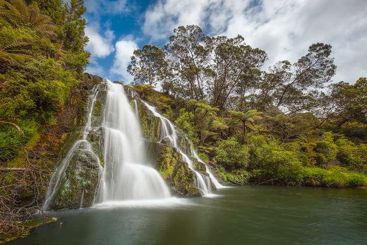 A waterfall surrounded by ferns in sunlight