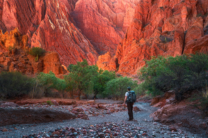 A hiker in a glowing sandstone canyon near Tupiza