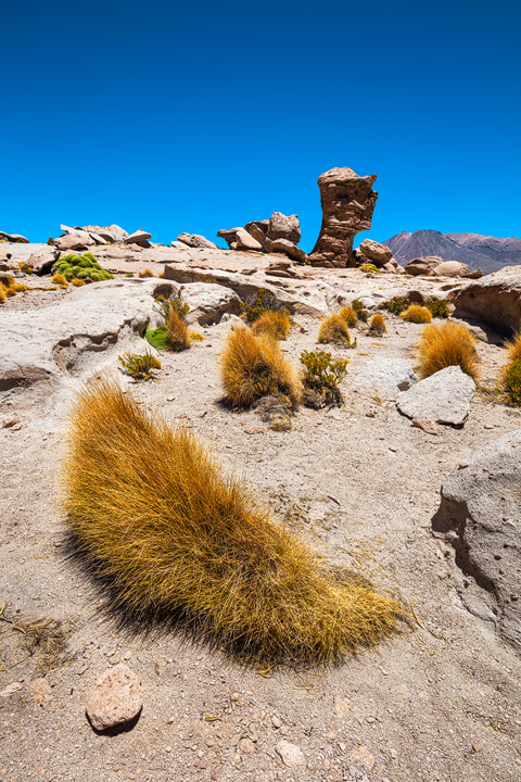 Artistic rock structures near Laguna Negra in Bolivia