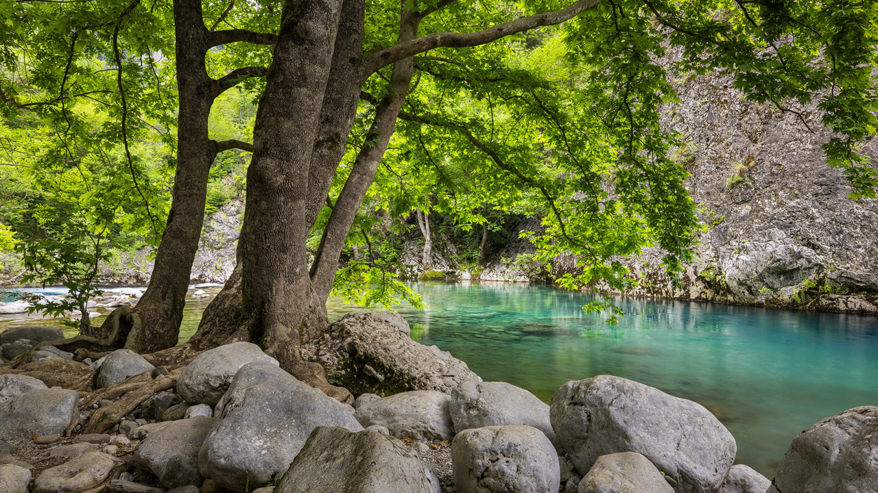 Voidomatis Springs