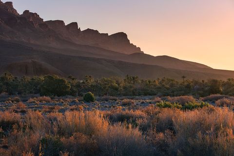 Hara Oasis Panoramic view of the Moroccan desert landscape at sunset, featuring the Anti-Atlas Mountains in the background, and dry desert vegetation in the foreground.