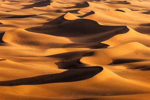 Dune Endless dunes snaking through the Erg Chigaga