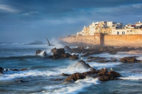 Essaouira Surf Seaside view of the historic walled city Essaouira with white buildings, crashing waves, rocky shore, and seagulls flying and perched on rocks.