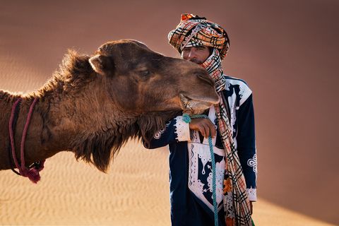 Mohamed Man in traditional clothing and headscarf standing beside a camel in the desert.