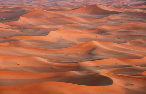 Red Sahara Aerial view of vast orange sand dunes in a desert landscape.