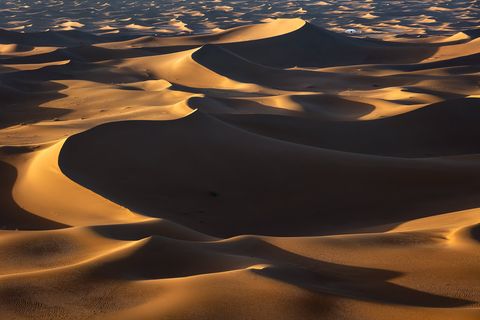 Sahara Gold Golden sand dunes in the Sahara Desert illuminated by the soft light of the setting sun, creating striking shadows and patterns.