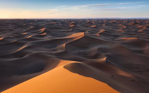 Sea of Sand View over vast sand dunes in the Sahara desert at sunrise, with warm sunlight highlighting the curves of the dunes.