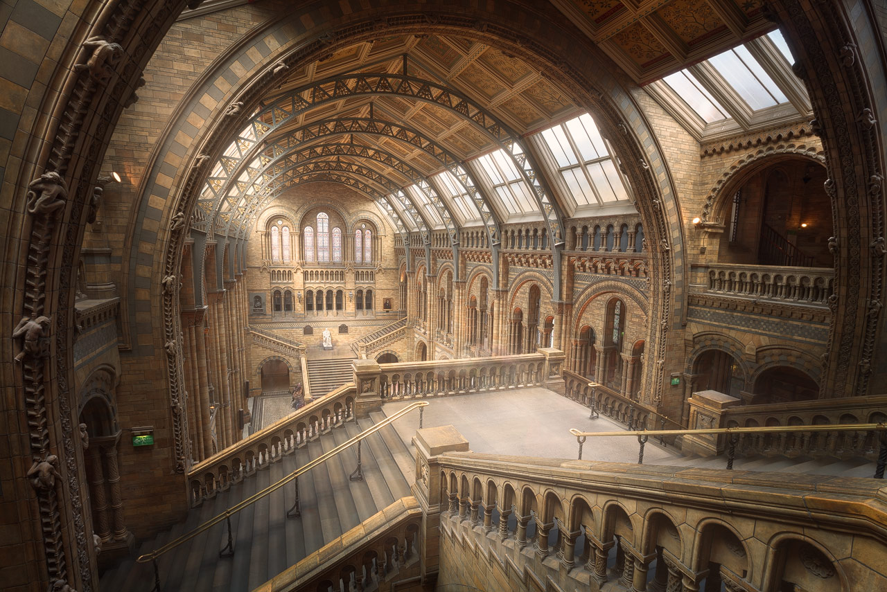 Die große Halle des Natural History Museum in London in goldenem Licht